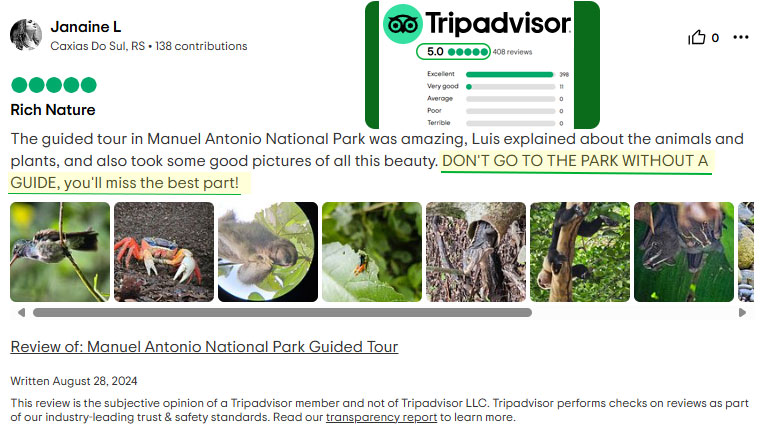 TripAdvisor positive review - Mystique Nature Tours