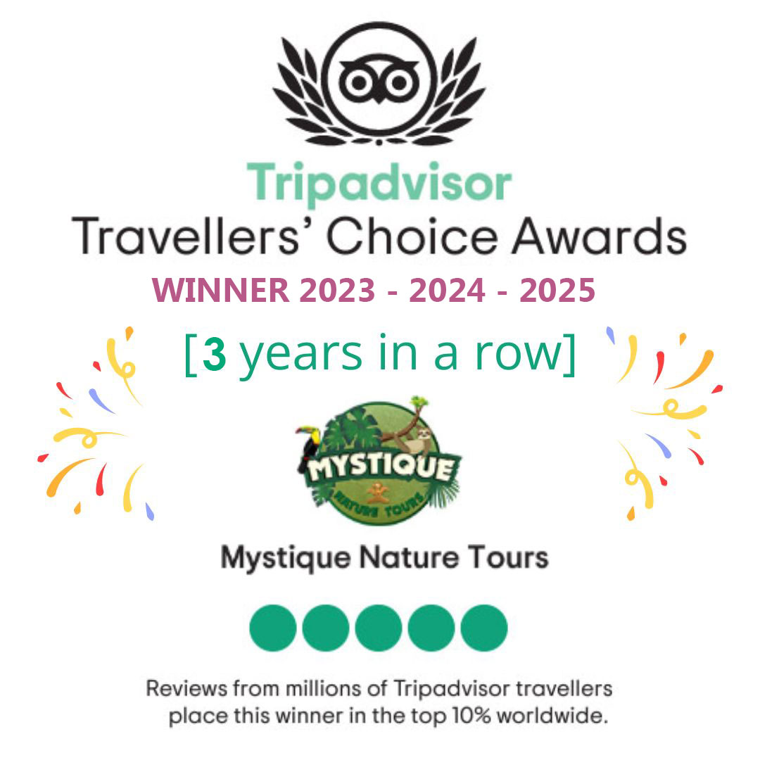 TripAdvisor Travellers' choice award 2023 - 2024 - 2025